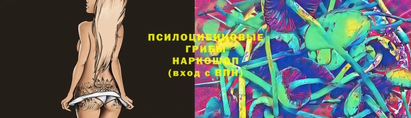 молекула духа Козловка