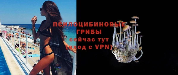 сатива Кодинск