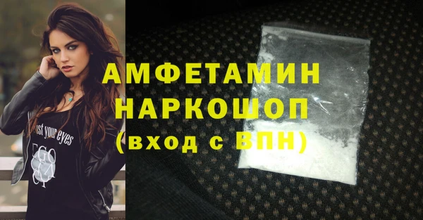 молекула духа Козловка